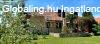 Elad� csal�di h�z G�d�ll�, 	Vasv�ri P�l utca