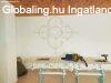 �jszer� csal�di h�zat k�n�lunk elad�sra B�lcsk�n!
