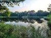 Elad� csal�di h�z Szigetszentmikl�s, 	S�lyom utca