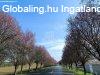 Eladó családi ház Berkenye, csendes, panorámás részen Eladó családi ház Berkenye, csendes, panorámás részen