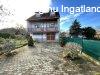 Elad� H�z, N�gocs