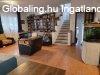 Elad� 165m2-es Csal�di h�z, F�t
