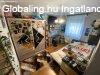 Elad� csal�di h�z Sereg�lyesen