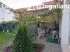 Elad�  Telki, 	Dar�zs utca