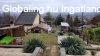 Elad� csal�di h�z G�d�ll�, 	G�d�ll�, Blaha, mobil h�z