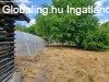 Elad� csal�di h�z Sz�kesfeh�rv�r, 	Maroshegyen