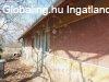 El�sz�ll�son bar�ts�gos kis h�z v�rja �j gazd�j�t!