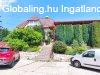 Felújított Panzió kiválló adotságokkal! Felújított Panzió kiválló adotságokkal!