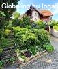 Elad� csal�di h�z Buda�rs, 	�denkert Kamaraerd�ben