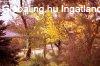 Elad� k�l�nleges birtok az �rs�g kapuj�ban