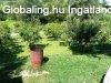 Lakhat� h�z Nagykanizsa Cs�nak�z� t� k�zel�ben
