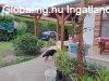 Elad� csal�di h�z H�v�zgy�rk, 	De�k Ferenc k�z
