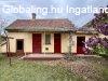 Elad� 53.00 nm-es Csal�di h�z T�pi�szele