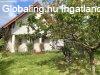 Elad� H�z, Zam�rdi