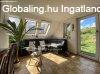 Elad� H�z, Zam�rdi