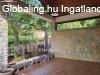 Elad� H�z, Zam�rdi