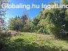 Holl�don csal�di h�z elad�!