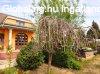 Csend �s z�ld k�rnyezet-parkos�tott csal�di h�z - Veresegyh�