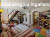 Nagy m�ret� csal�di h�z az erd� sz�l�n