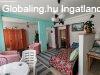 Salg�tarj�nban elad� v�rosk�zponthoz k�zeli csal�di h�z.
