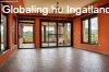 Szentendre, 490 m2, 224999000 HUF, 9 szoba [5433_41]