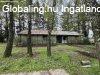Kadark�t v�ros legsz�l�n, z�ld�vezetben VAD�SZH�Z elad�