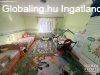 Kiszombor Csal�di h�z elad�!