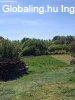 ELAD�! CSAL�DI H�Z BALATONBOGL�R-SZ�L�SKISLAKON! - Balatonbo