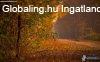 Elad� 65418.00 nm-es Fel�j�tott Csal�di h�z Balatonvil�gos