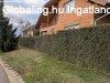 Otthon és Karrier Egy Helyen: Családi Ház + Profi Műhely Hal Otthon és Karrier Egy Helyen: Családi Ház + Profi Műhely Hal