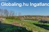 Csal�di h�z Hars�nyban sz�p kil�t�ssal!