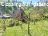 Eladó családi ház Zalaegerszeg, Csend, zöld környezet és le Eladó családi ház Zalaegerszeg, Csend, zöld környezet és le