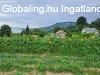 Elad� csal�di h�z Badacsonytomaj, 	�r�kpanor�ma 4566 m2-es s