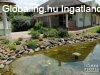 Eladó egy luxus családi fészek - Makó Eladó egy luxus családi fészek - Makó