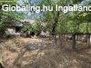 Eladó tanya Lajosmizse, Tanya-Szántó-Erdő Eladó tanya Lajosmizse, Tanya-Szántó-Erdő