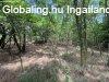 Eladó tanya Lajosmizse, Tanya-Szántó-Erdő Eladó tanya Lajosmizse, Tanya-Szántó-Erdő