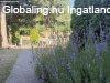 Elad�  Zalaegerszeg, 	F�kkal k�r�lvett, csendes r�sz�n