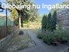 Eladó Zalaegerszeg, Fákkal körülvett, csendes részén Eladó Zalaegerszeg, Fákkal körülvett, csendes részén