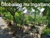 Elad� 120m2-es Csal�di h�z, Nagyrozv�gy