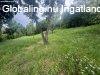 Elad� 1700.00 nm-es Csal�di h�z Orf�
