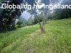Elad� 1700.00 nm-es Csal�di h�z Orf�