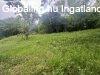 Elad� 1700.00 nm-es Csal�di h�z Orf�