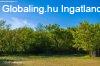 Cegléd mellett Mikebuda tanya, ősfás környezet, csend, nyuga Cegléd mellett Mikebuda tanya, ősfás környezet, csend, nyuga