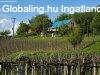 Hangulatos birtok szerkezetk�sz �p�lettel Monoszl�n, a K�li-