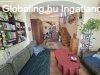 Sz�kesfeh�rv�ron 20 �ve �p�let csal�di h�z elad�