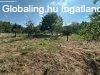 Elad� h�z �s telek Z�molyon