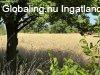 Elad� h�z �s telek Z�molyon